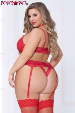 Plus Size Lace And Net Harness Bra Set STM-10926X -Plus Size Fits Sales Store 10926X RED B 05938.1561572623