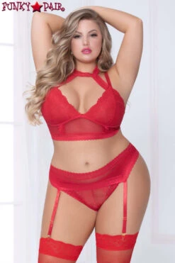 Plus Size Lace And Net Harness Bra Set STM-10926X