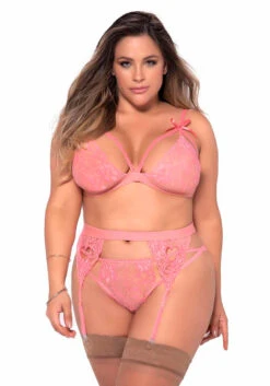 MA8221X, Plus Size Bra, Thong And Garterbelt Set -Plus Size Fits Sales Store 8221X LightPink Front 29723.1677599103