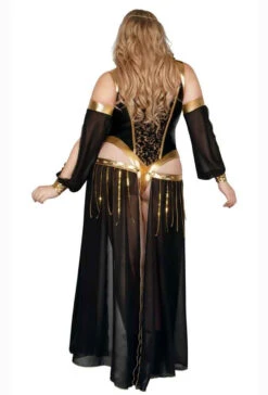 S2340X, Plus Size Dark Harem Nights Costume By Starline -Plus Size Fits Sales Store S2340X Plus Dark Harem Nights Bk 2 45264.1694106684
